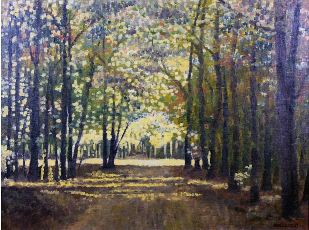 Marcel Veldeman (1936) - Sunlit woods