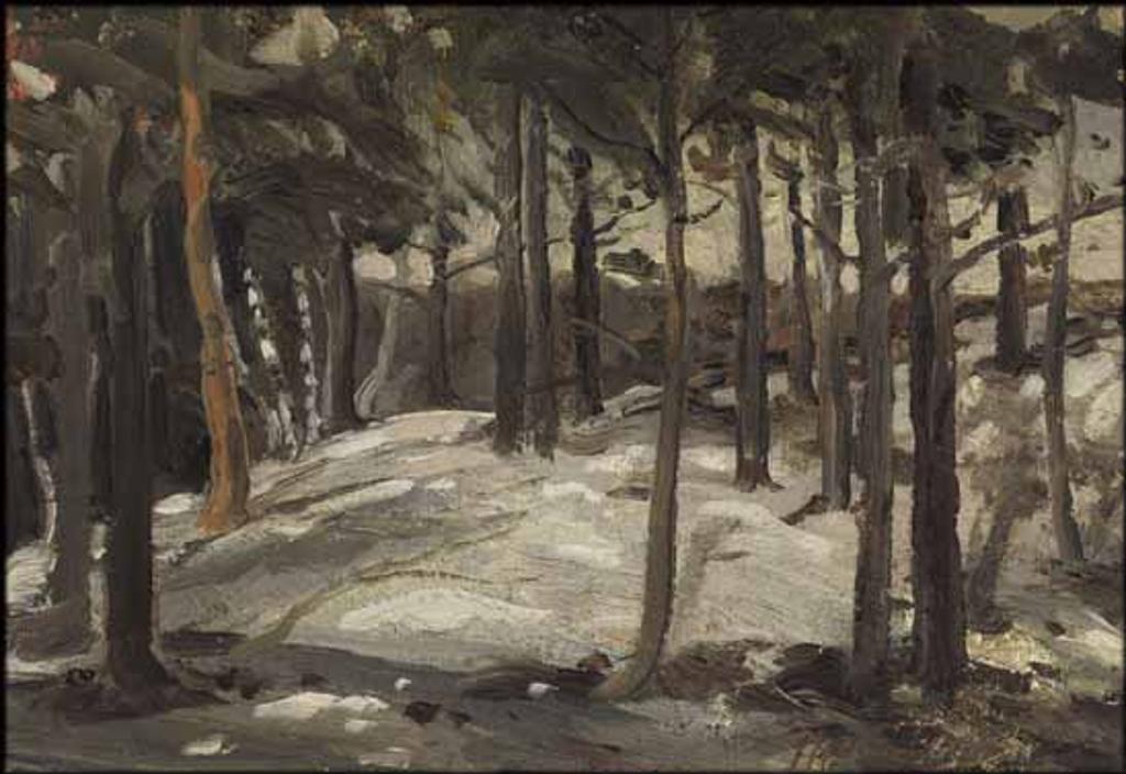 Thomas John (Tom) Thomson (1877-1917) - Woods in Winter