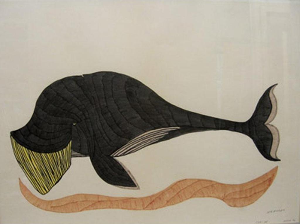 Nanogak - Whale Study