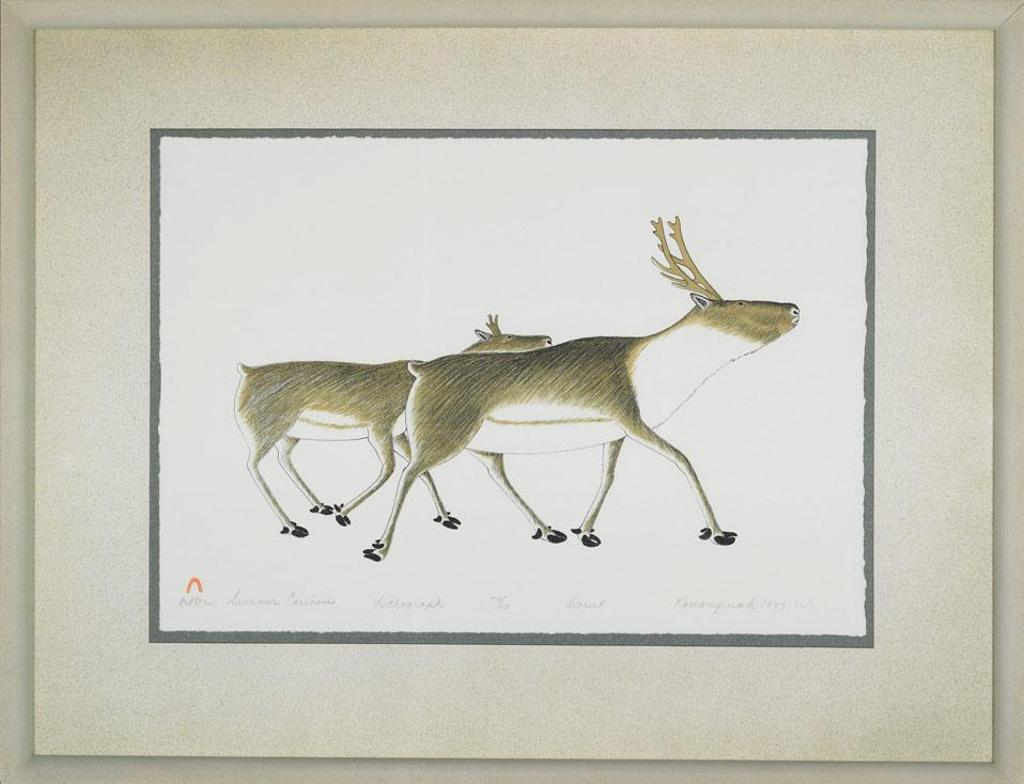 Kananginak Pootoogook (1935-2010) - Summer Caribou