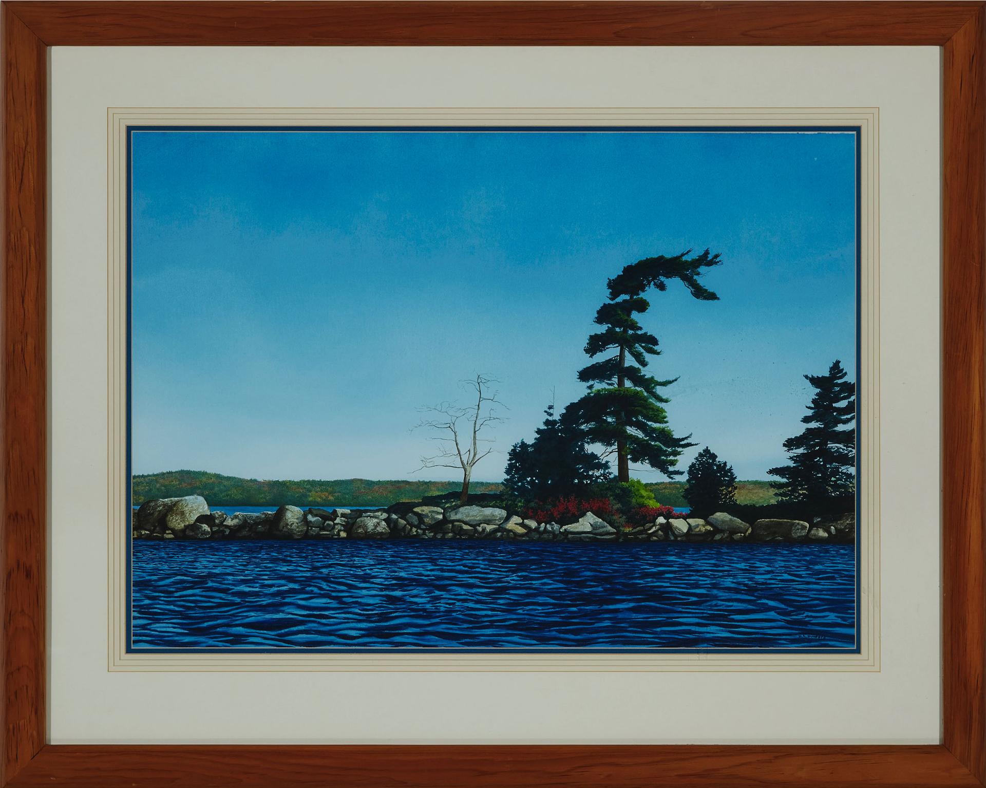 Doug A. Dunford - Untitled (Windswept Pine On Island)