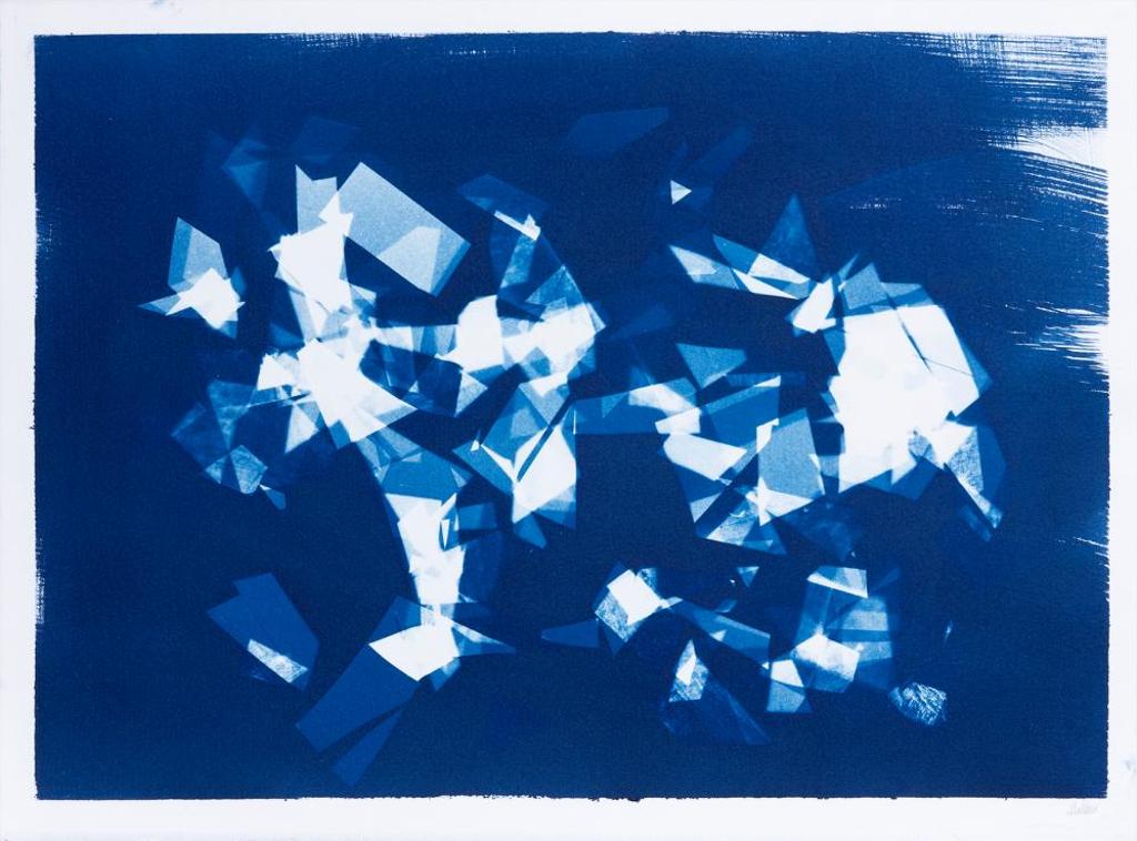 Sheldon Brown (1988) - Untitled - Cyanotype with Rectangles