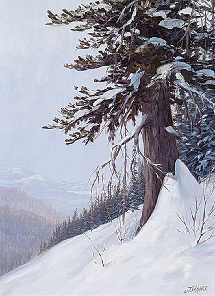 Joe Haire - Winter Near Nordegg