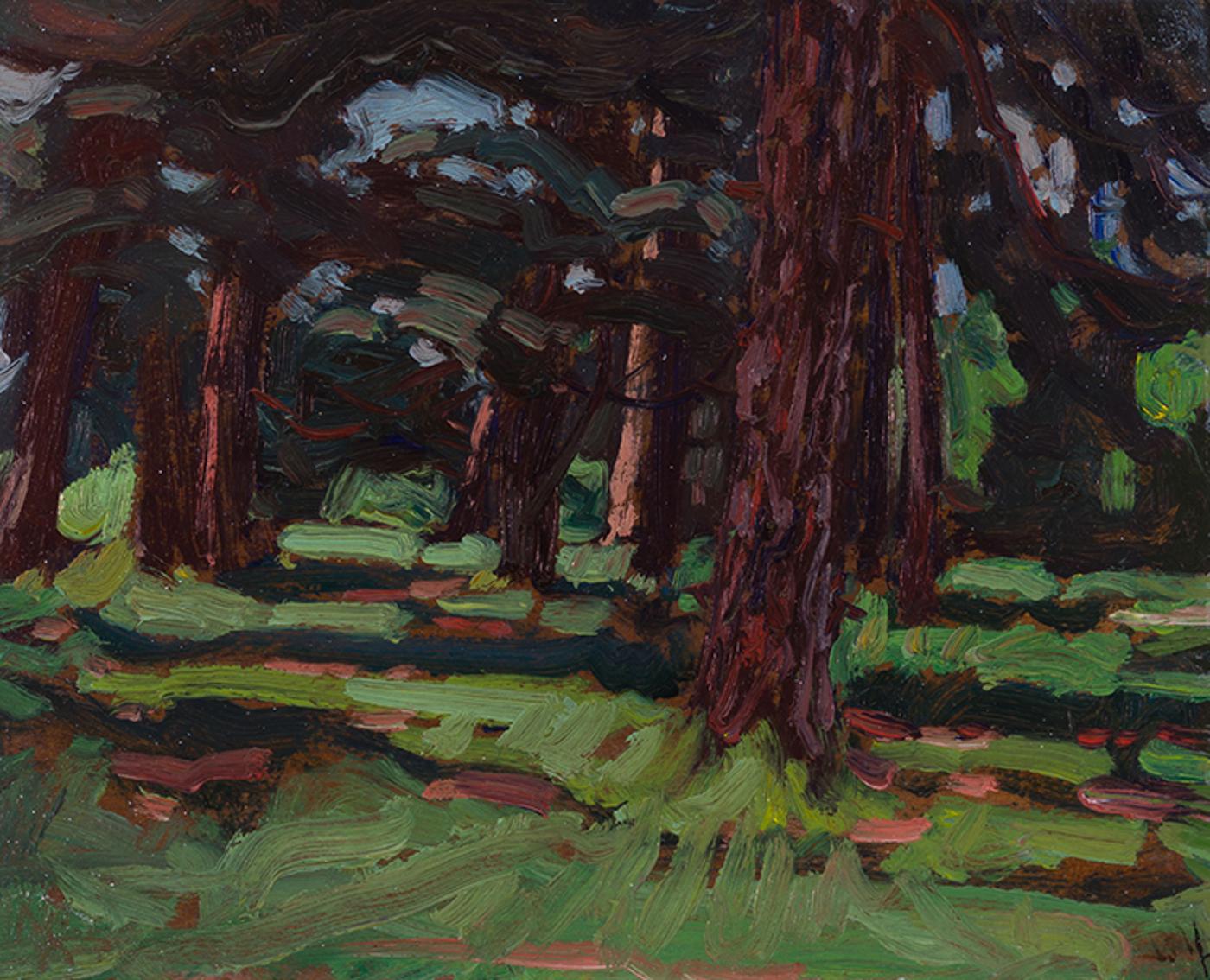 James Edward Hervey (J.E.H.) MacDonald (1873-1932) - Field Pines