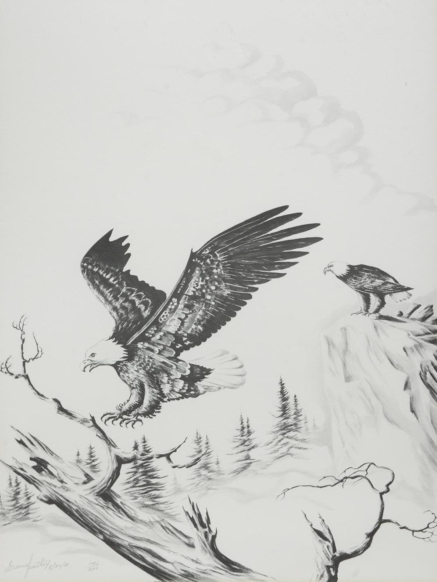 Greenefeather - Untitled - Bald Eagles