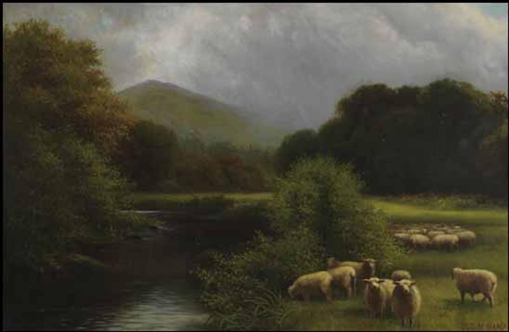 Charles MacDonald Manly (1855-1924) - Sheep in a Pasture
