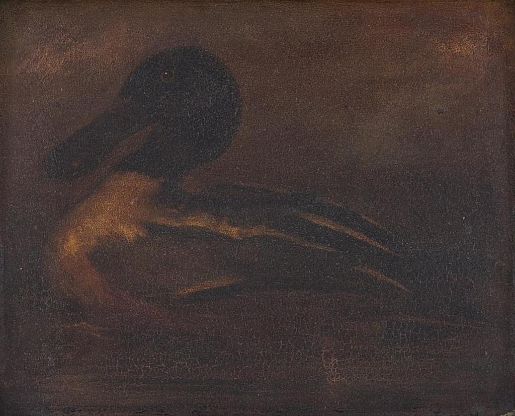 Robert Reginald Whale (1805-1887) - Spoonbill Duck