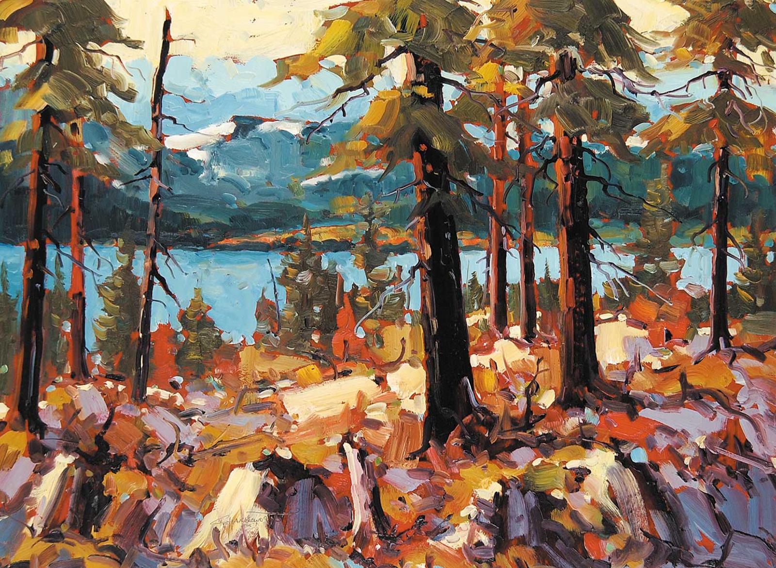 Rod Charlesworth (1955) - Towards Galena Bay