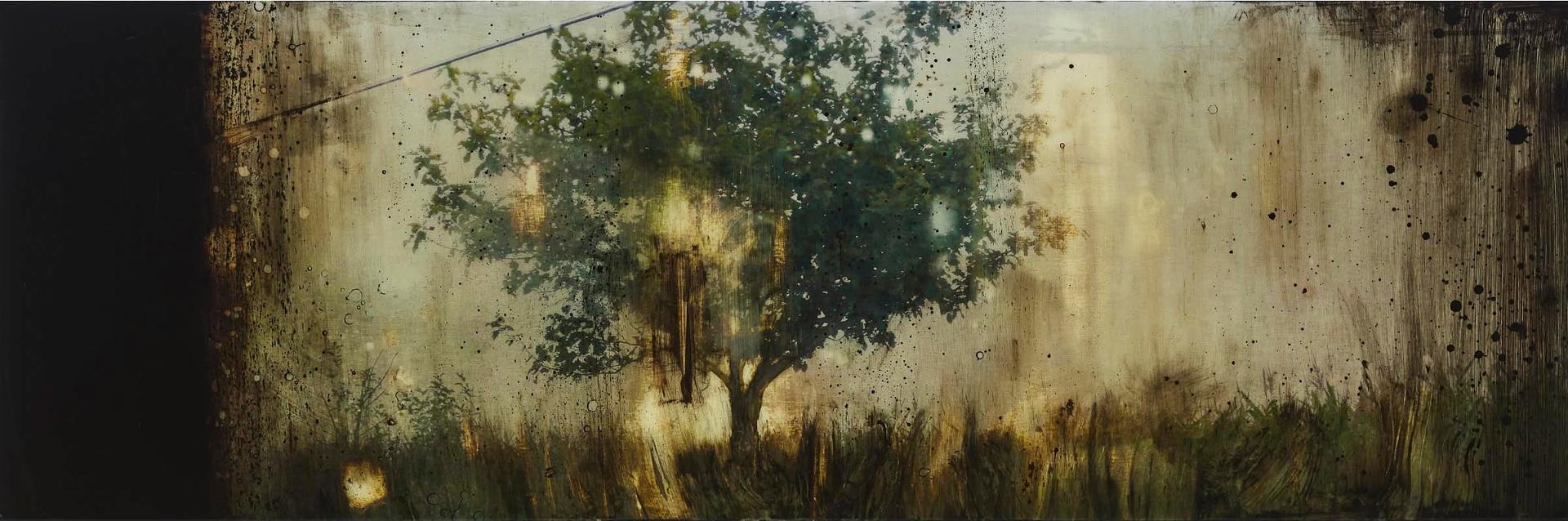 Steven Nederveen (1971) - Field Of Lights, 2007