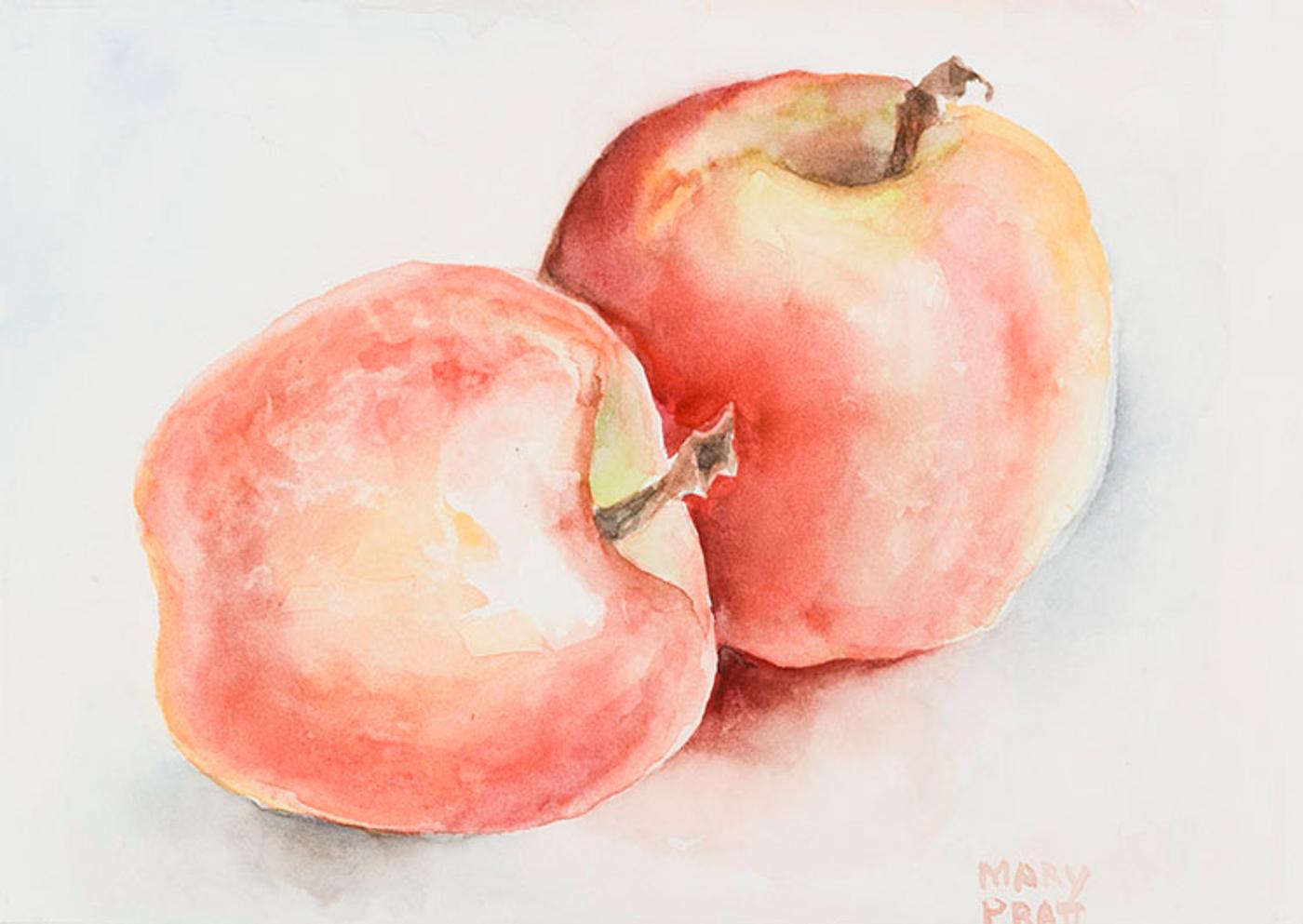 Mary Frances West Pratt (1935-2018) - Apple Study