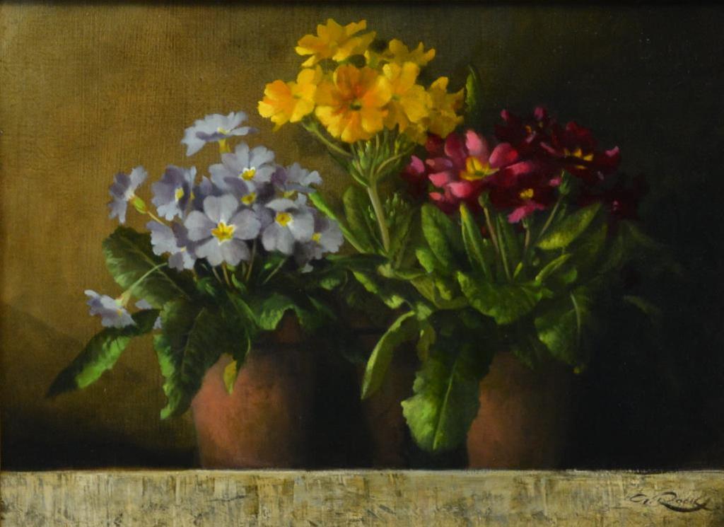 Geoffrey Allan Rock (1923-2000) - Polyanthus