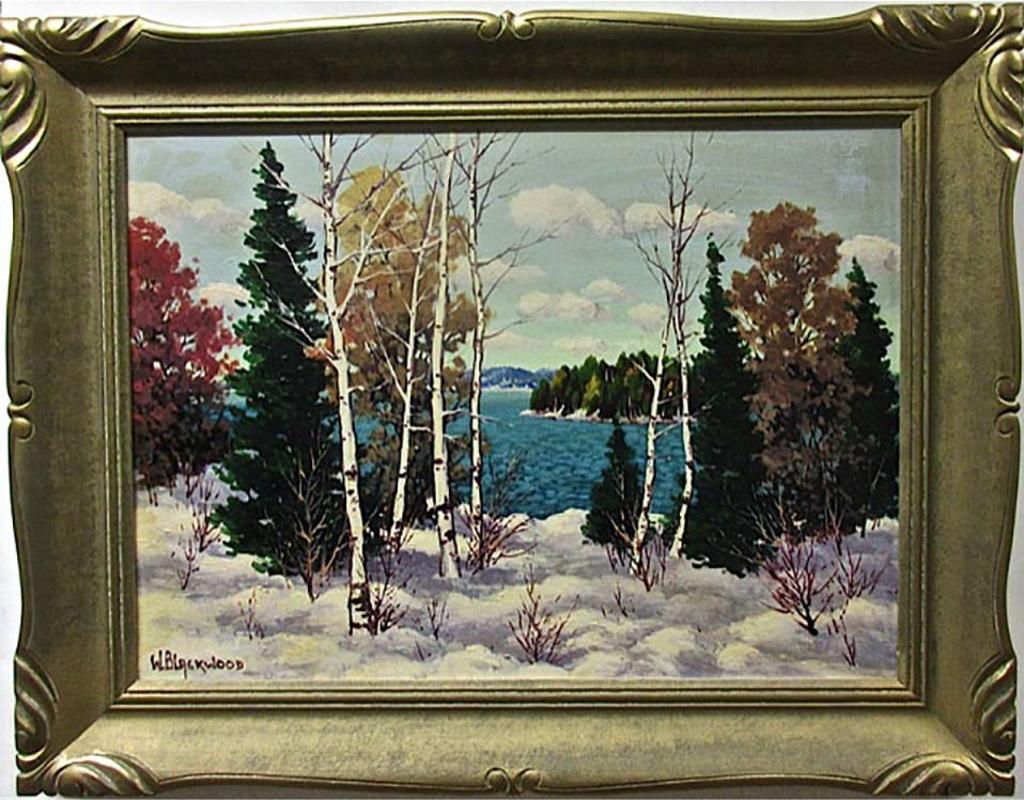 William Gardner Blackwood (1890) - November Snow, Muskoka