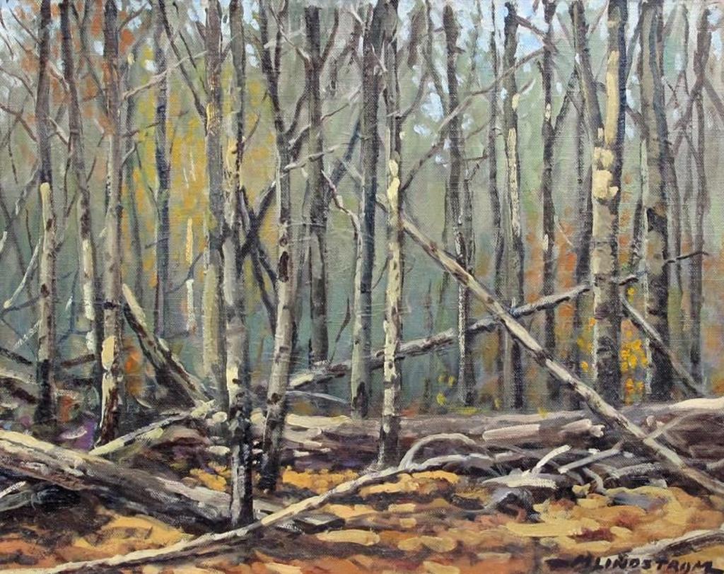 Matt Lindstrom (1890-1975) - A Stand Of Trees, Autumn