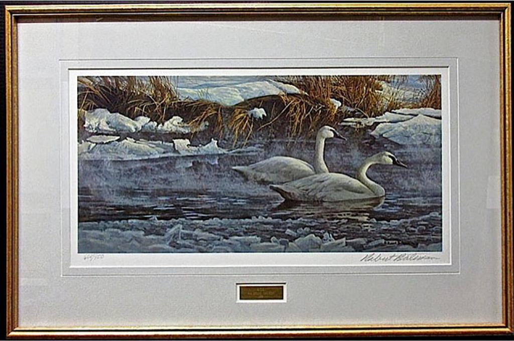 Robert Mclellan Bateman (1930-1922) - Morning On The River - Trumpeter Swans