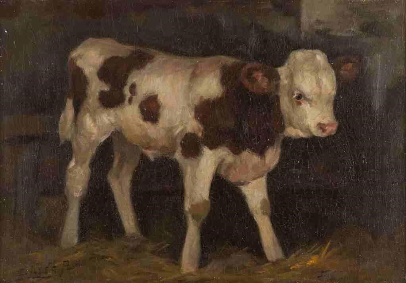 Aladar Edvi Illes (1870-1958) - Calf