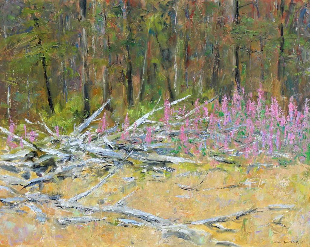 John Davenall Turner (1900-1980) - Deadfall & Fireweed