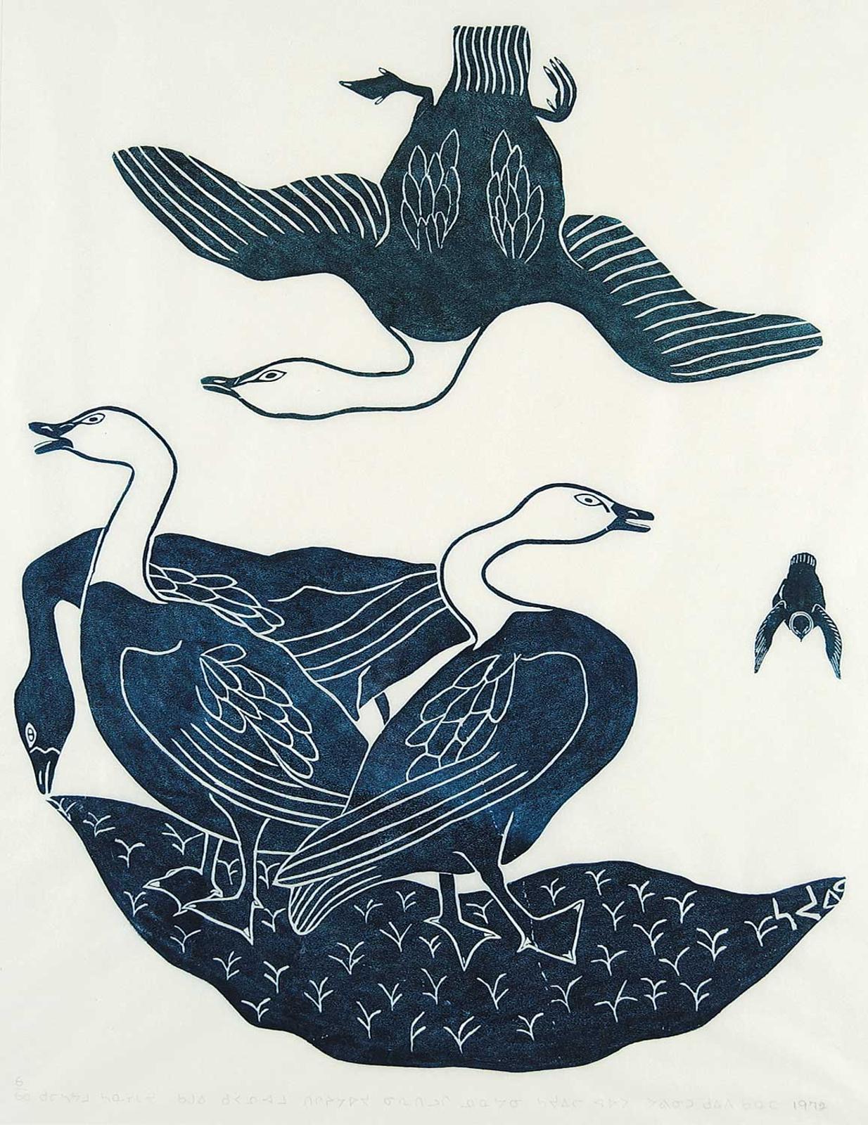 Awp - Hawk Frightens Feeding Geese  #6/60