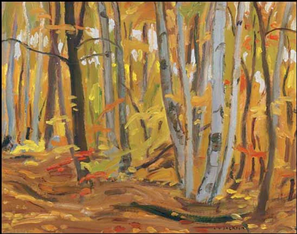 Alexander Young (A. Y.) Jackson (1882-1974) - Birch Woods