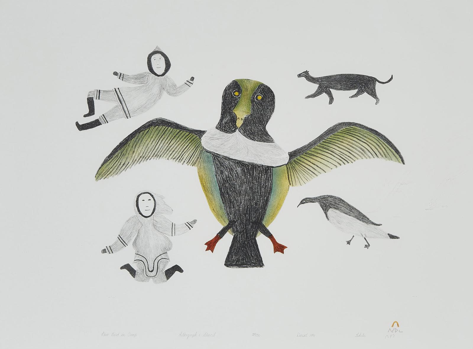 Tikituk Quppapik (1908) - New Bird In Camp