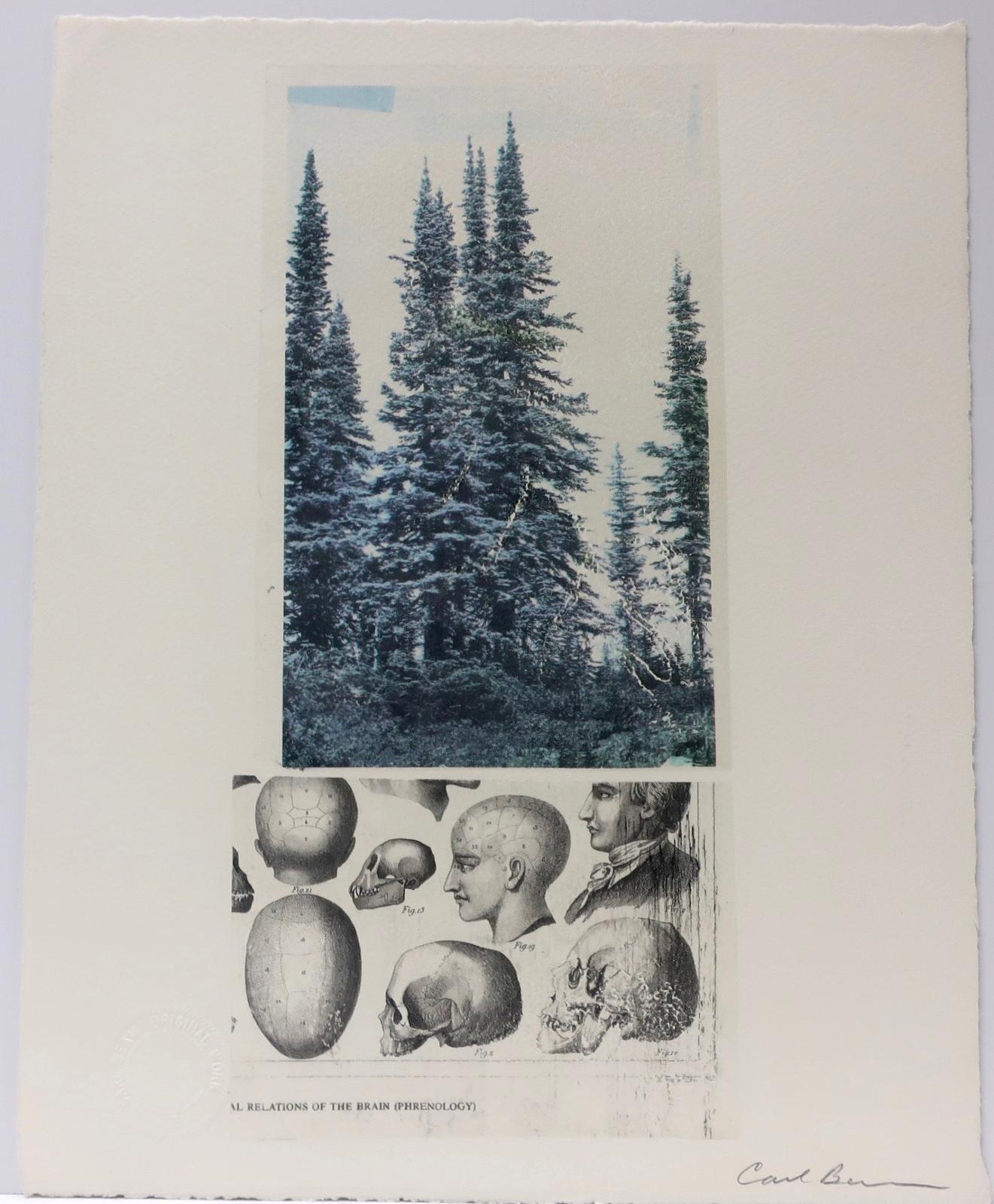 Carl Beam (1943-2005) - Tall Pines - Relations Of The Brain