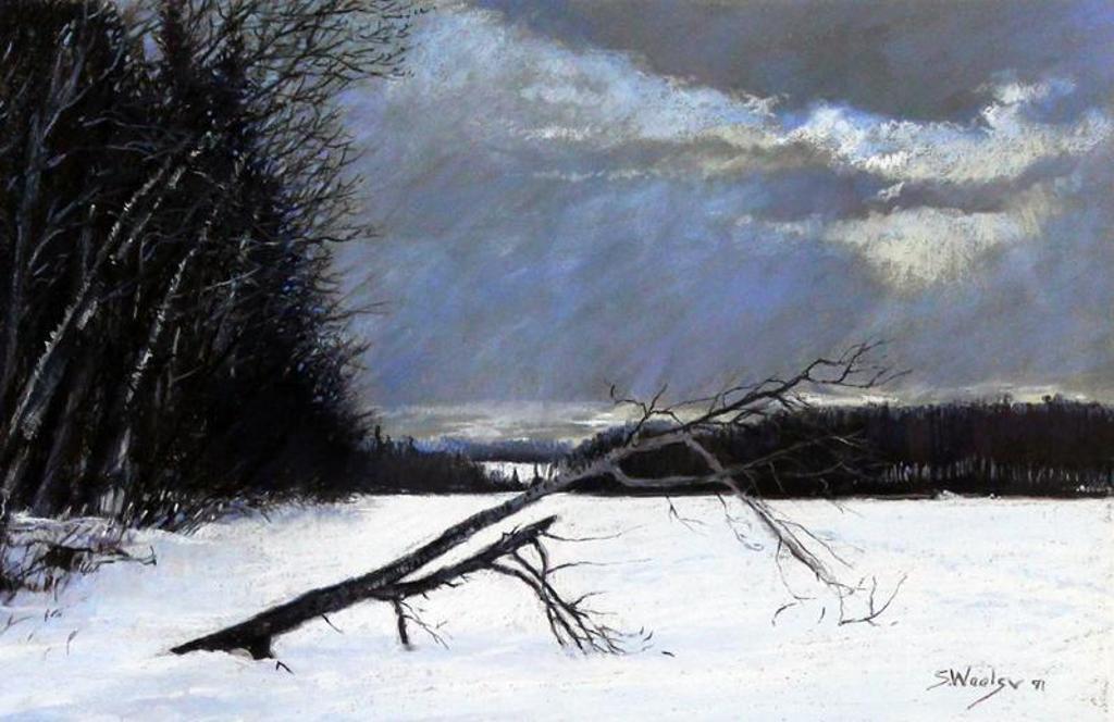 Susan Woolgar (1955) - Fallen Wood; 1991