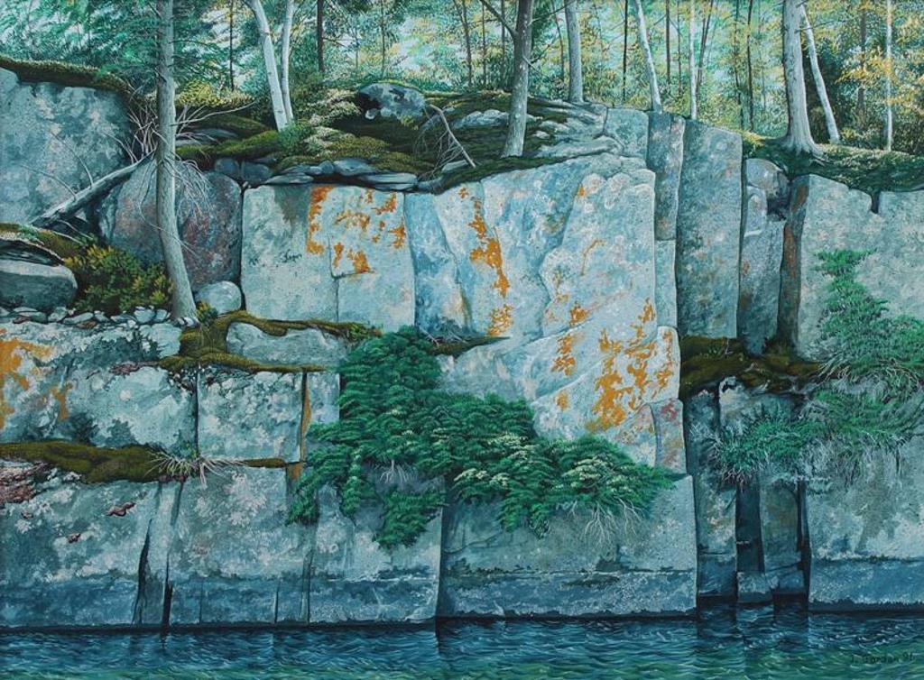Jim Jordan (1945) - The Wall, Vermillion Bay; 1991