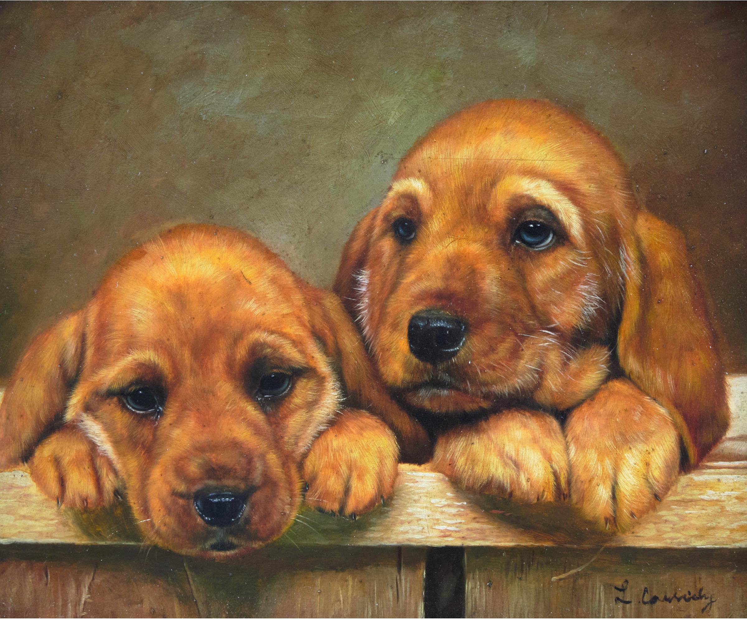 Laura E. Cassidy - Golden Retriever Puppies