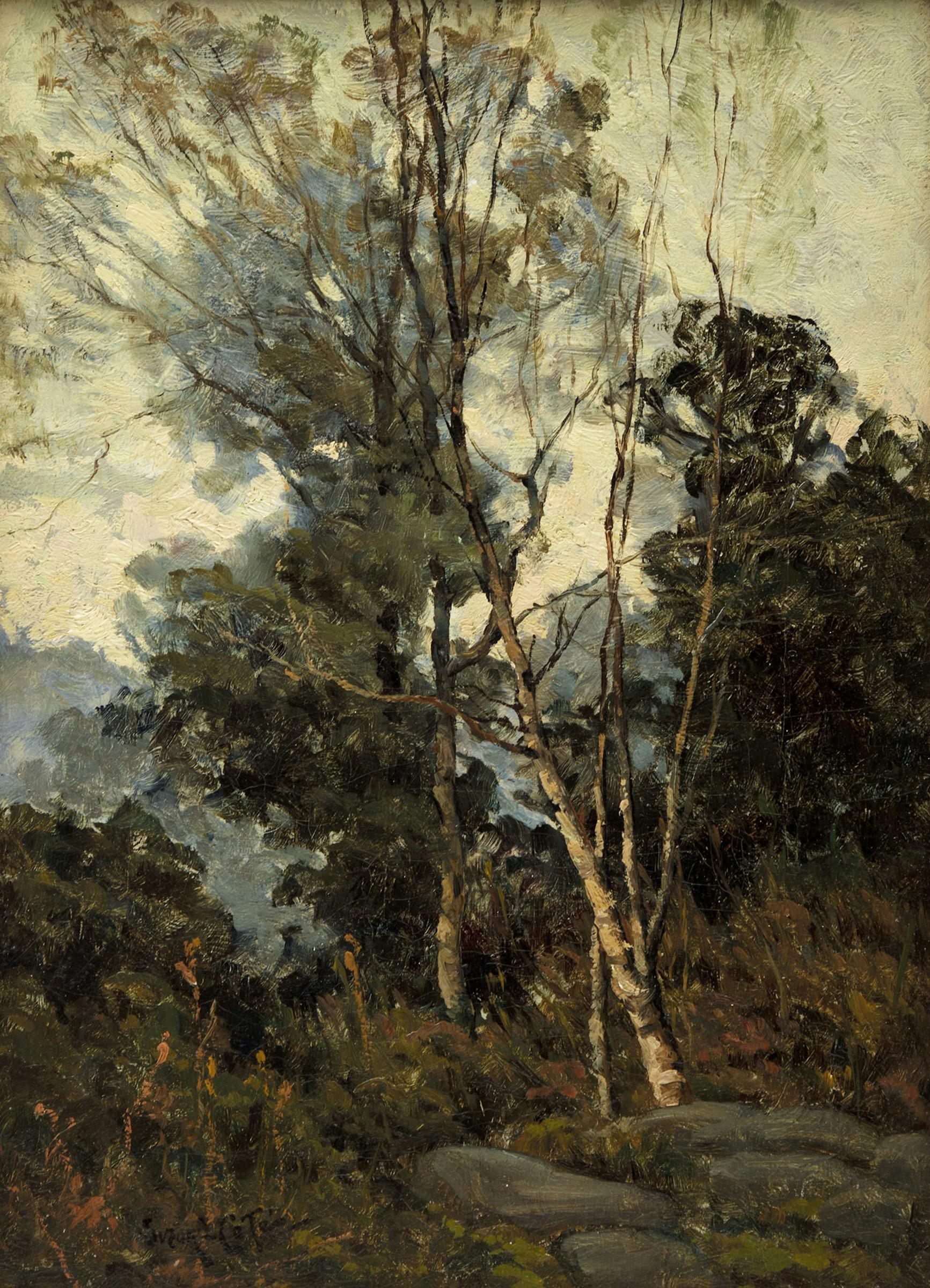 Marc-Aurèle de Foy Suzor-Coté (1869-1937) - Birches