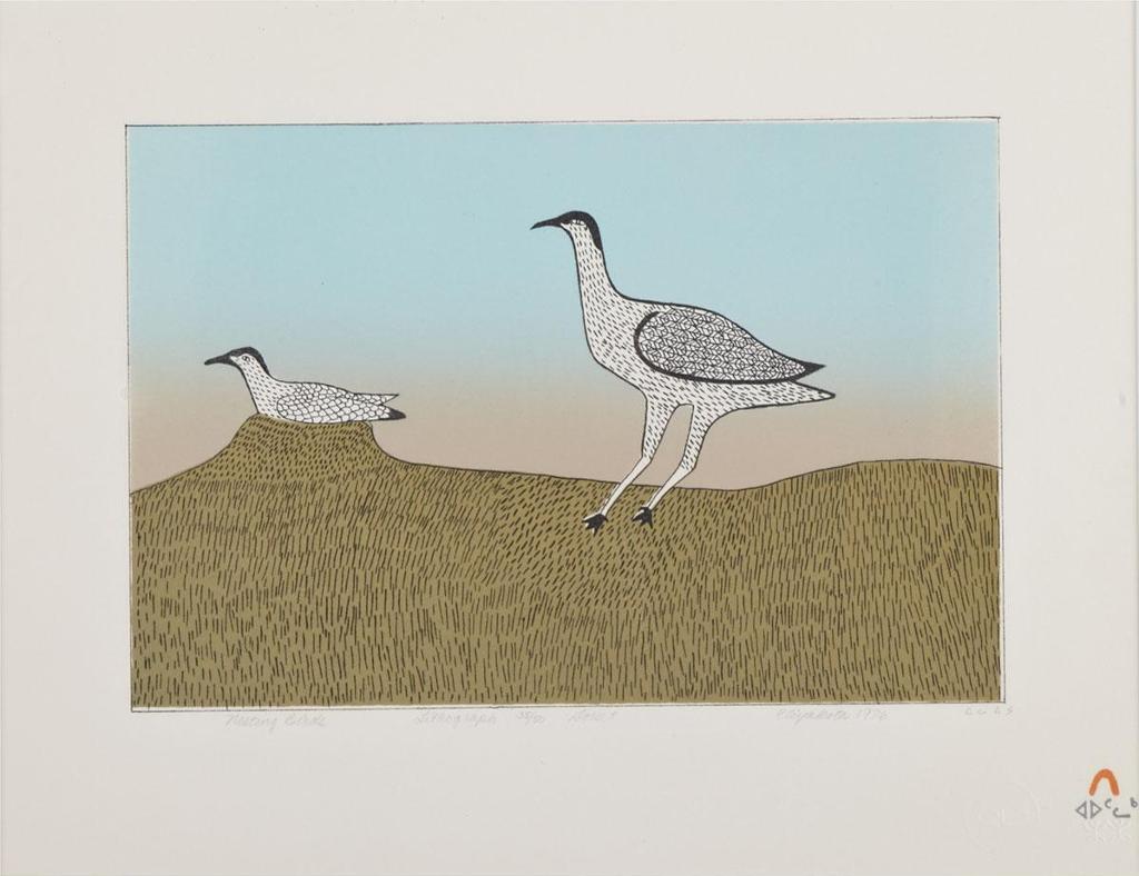 Eliyakota Samualie (1939-1987) - Nesting Birds