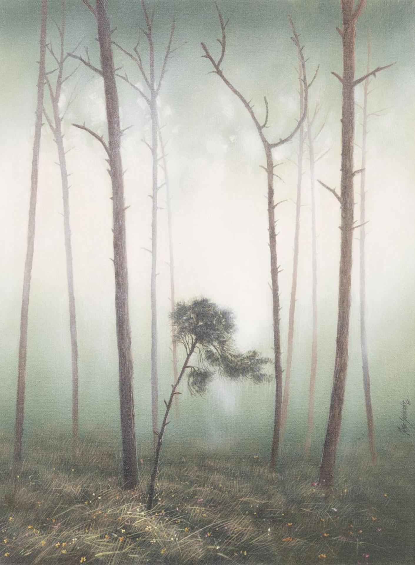 Jose Salvador (1946) - Untitled - Misty Forest