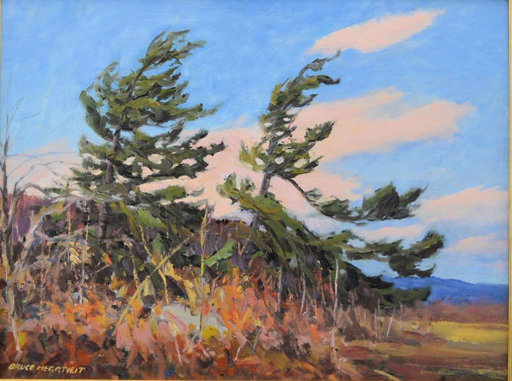 Bruce Allen Heggtveit (1917-2002) - Windblown Pines near Wakefield Quebec