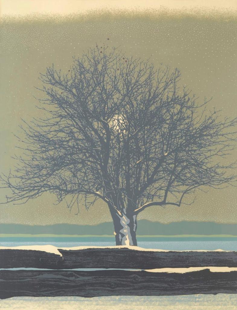 Ronald (Ron) William Bolt (1938-2019) - Winter Apples