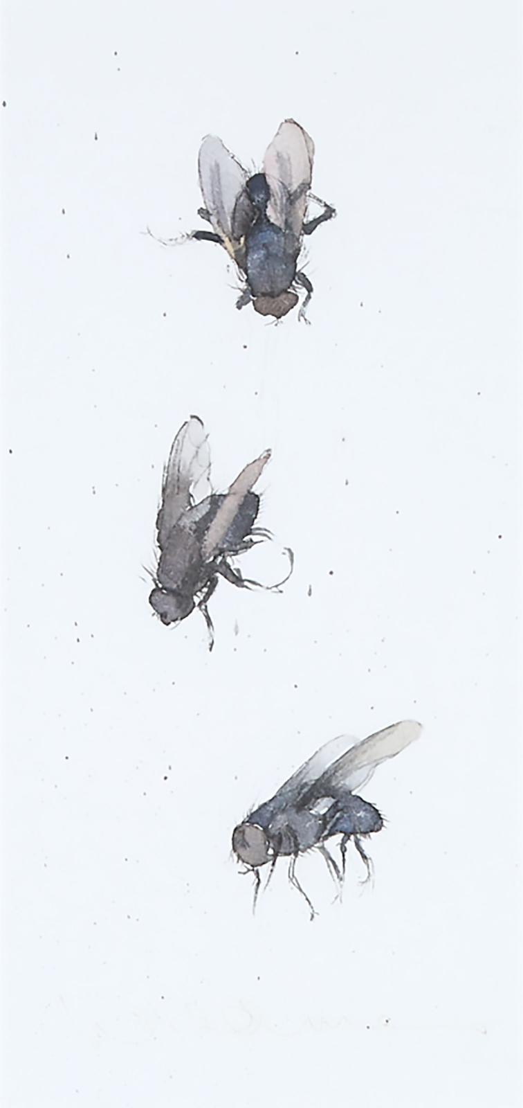 Sally Wildman (1939) - Three Flies, C.2000