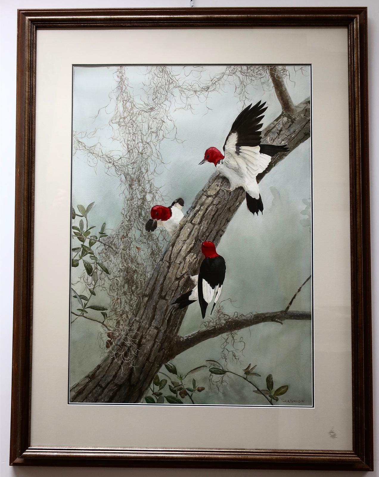 Frank Alberto de Matteis (1952) - Red Headed Woodpeckers