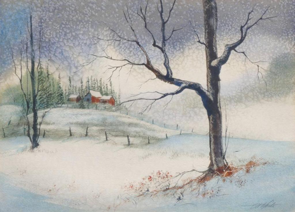 Al White - Winter Landscape