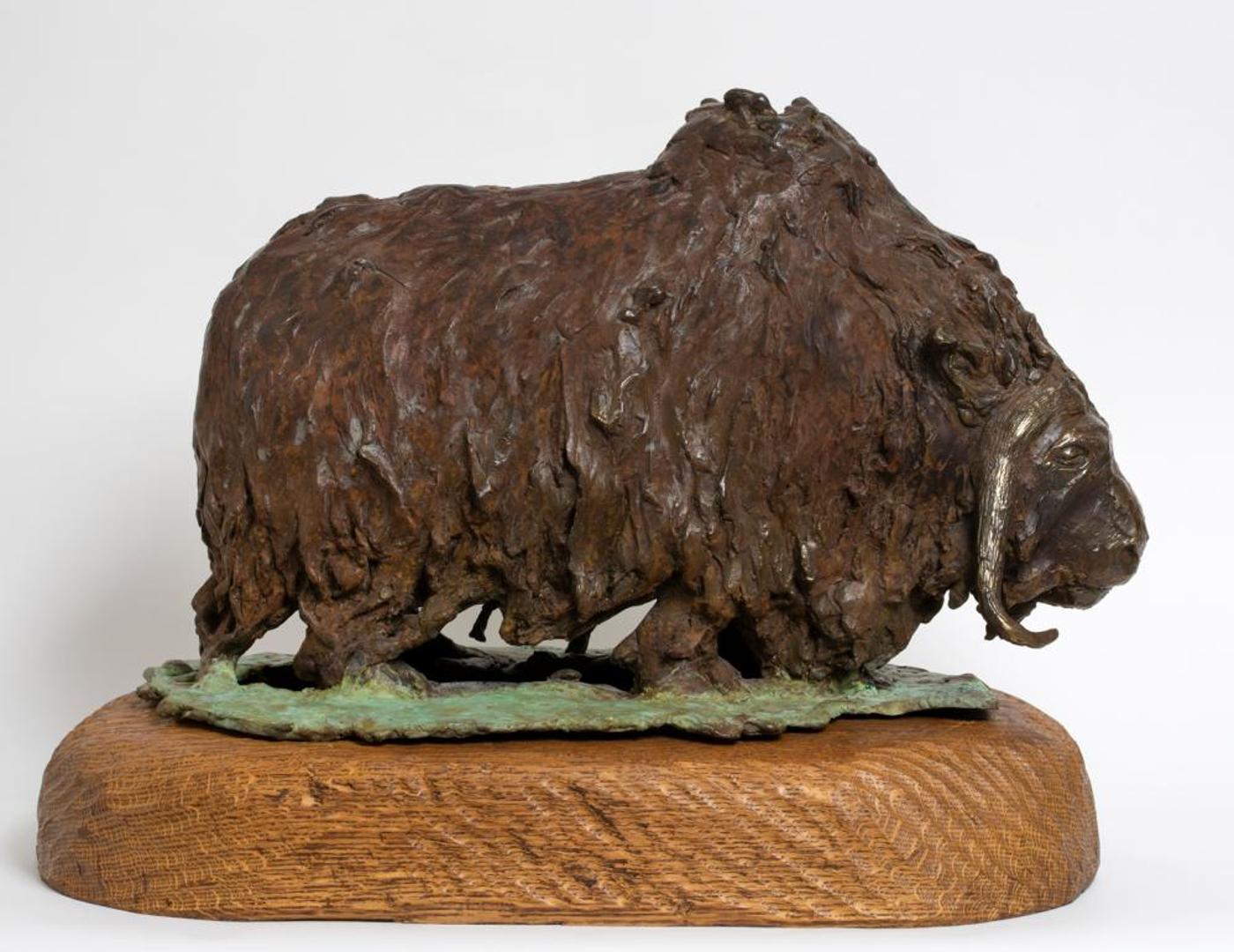 Kim Epp (1956) - Ovibos Moschatus (Muskox)