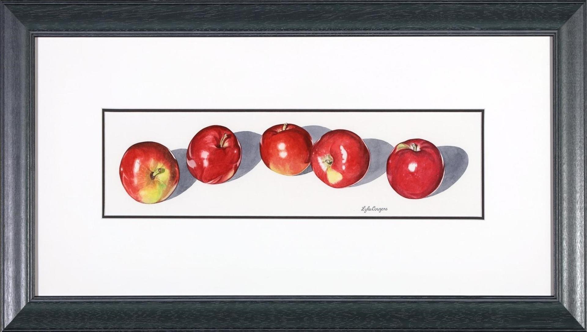 Lyla Couzens - Row of Apples