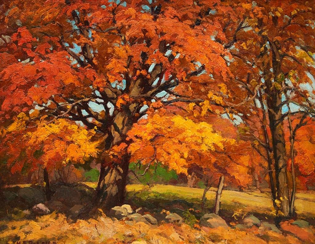 Herbert Sidney Palmer (1881-1970) - The Old Maple