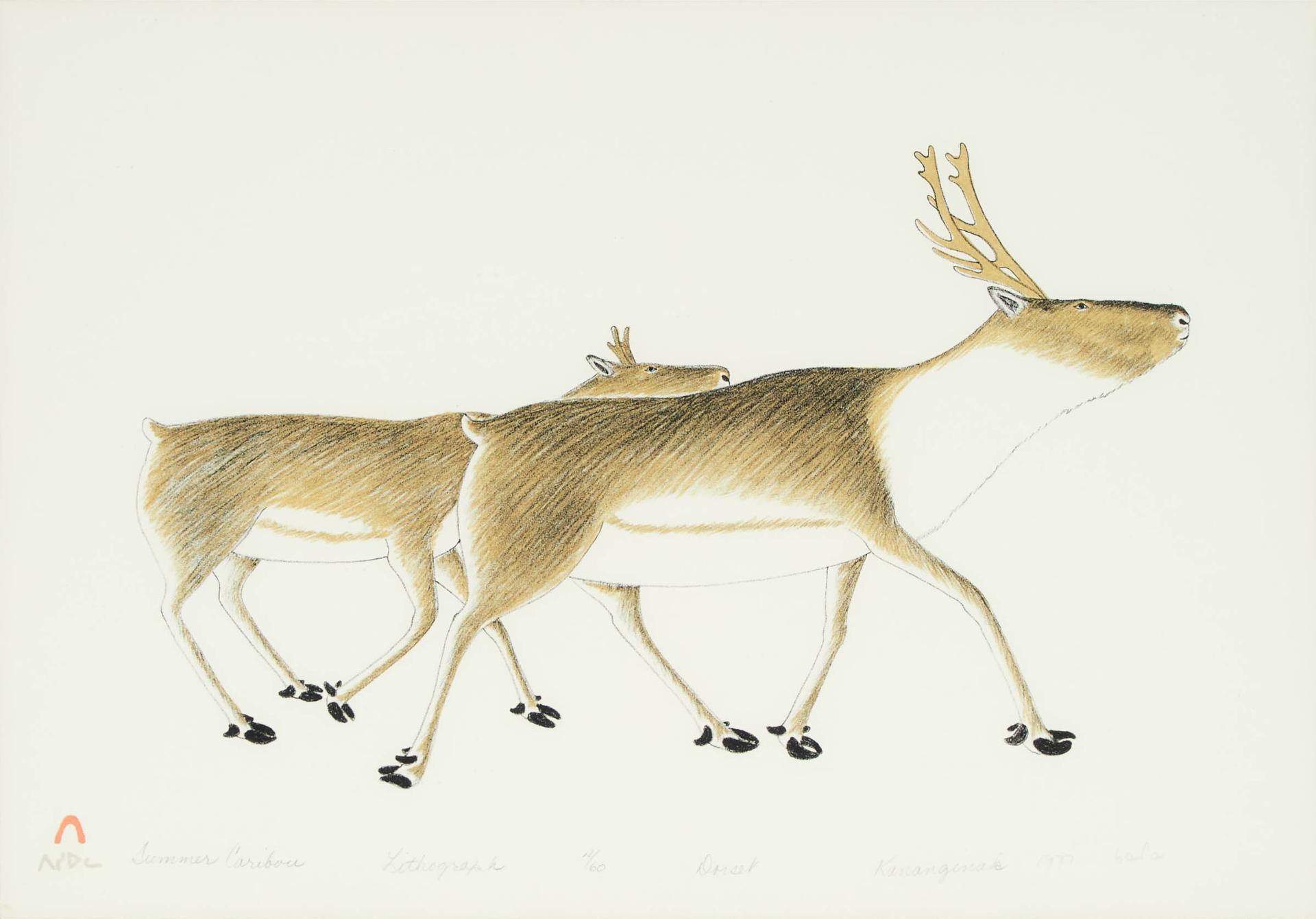 Kananginak Pootoogook (1935-2010) - Summer Caribou, 1977