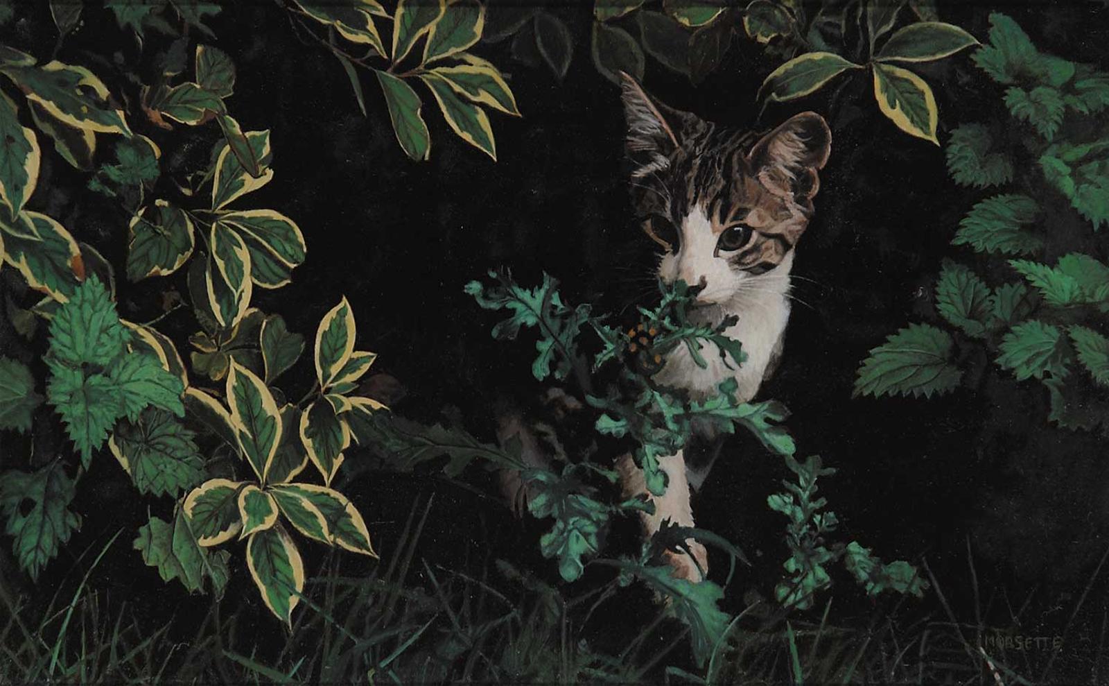 Richard Morsette - Untitled - Peek a Boo Cat