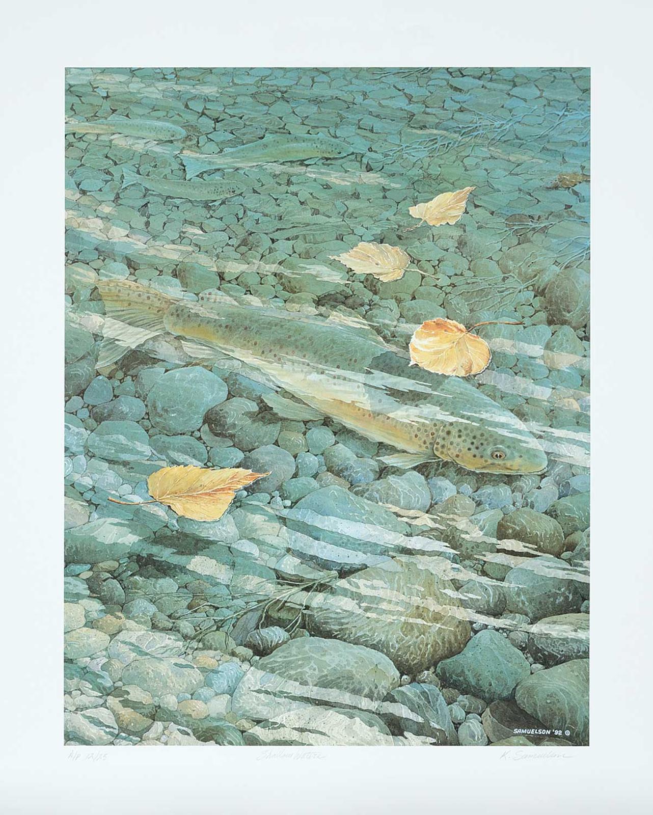 Ken Samuelson - Shallow Water  #A/P #12/25