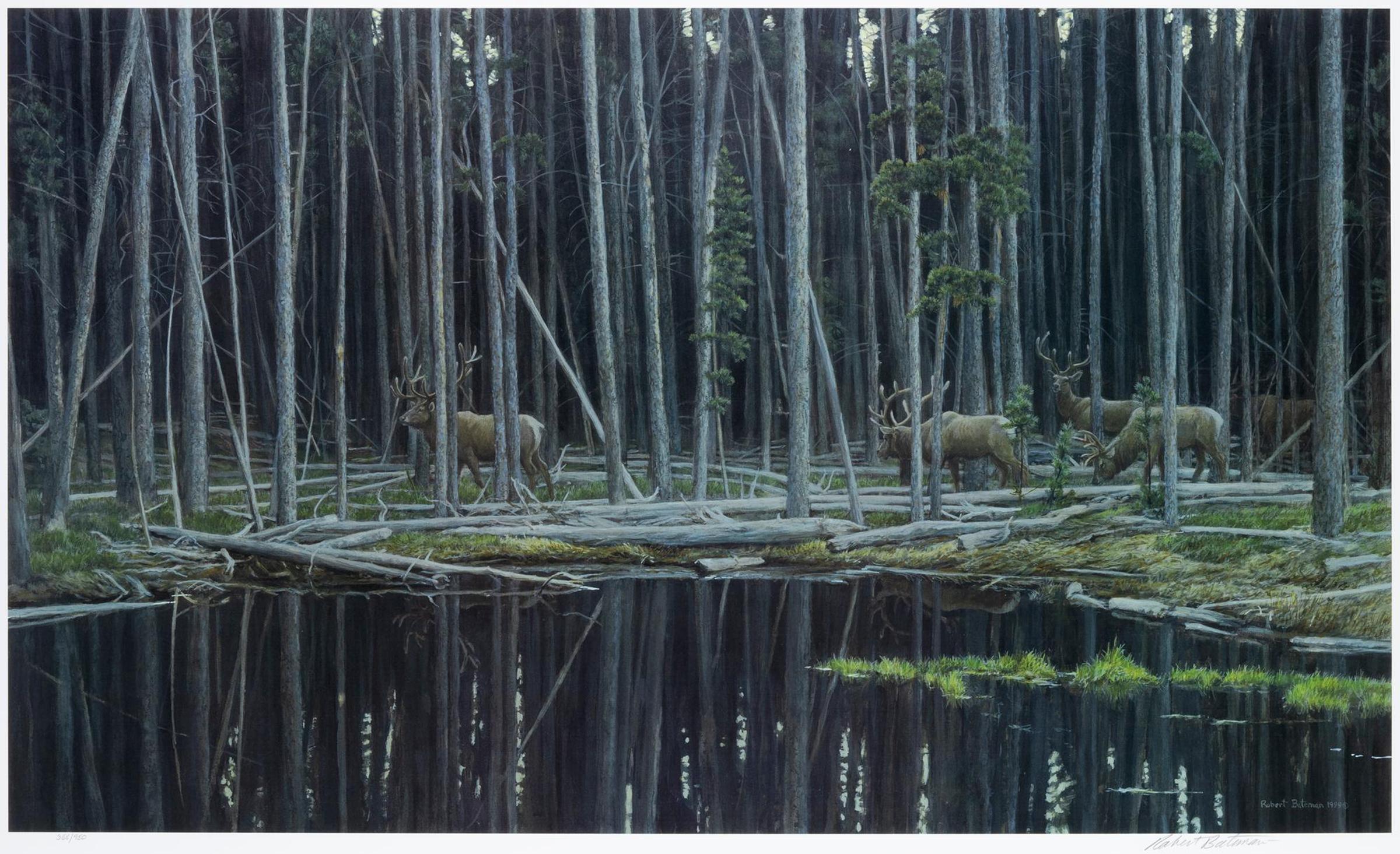 Robert Mclellan Bateman (1930-1922) - Elk at Yellowstone