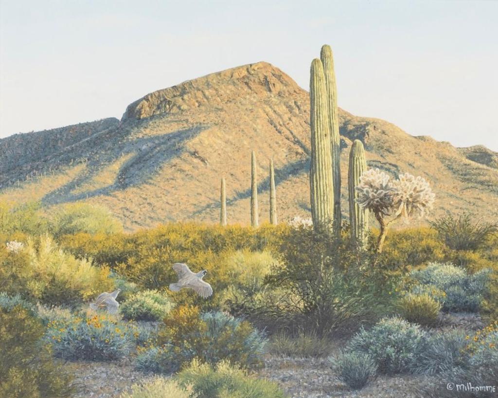 Denis Milhomme (1954) - Tranquil Sonoran Desert