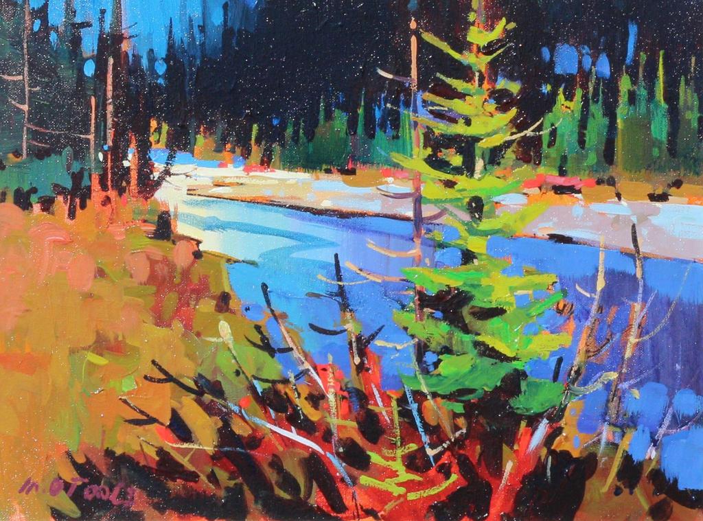 Michael O'Toole (1963-2018) - Elbow River