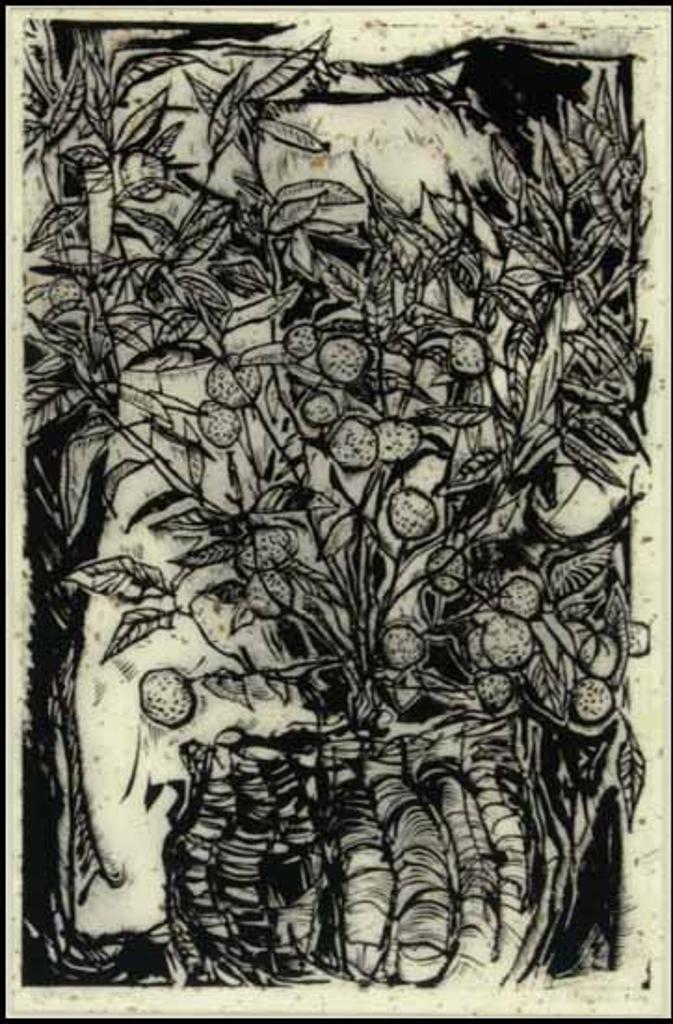 Claire Marie Shoniker (1932) - Orange Tree (00138/TN039)