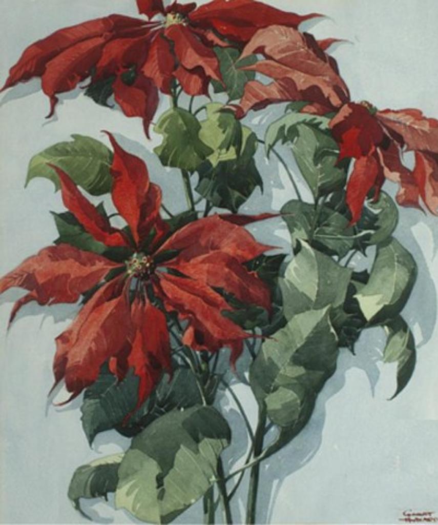 William Garnet Hazard (1903-1987) - Poinsettias