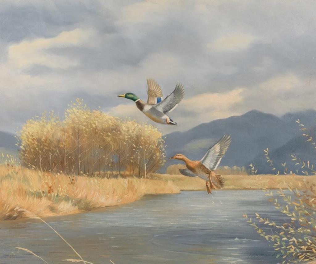Norman Kelly (1939) - Up and Away - Mallards