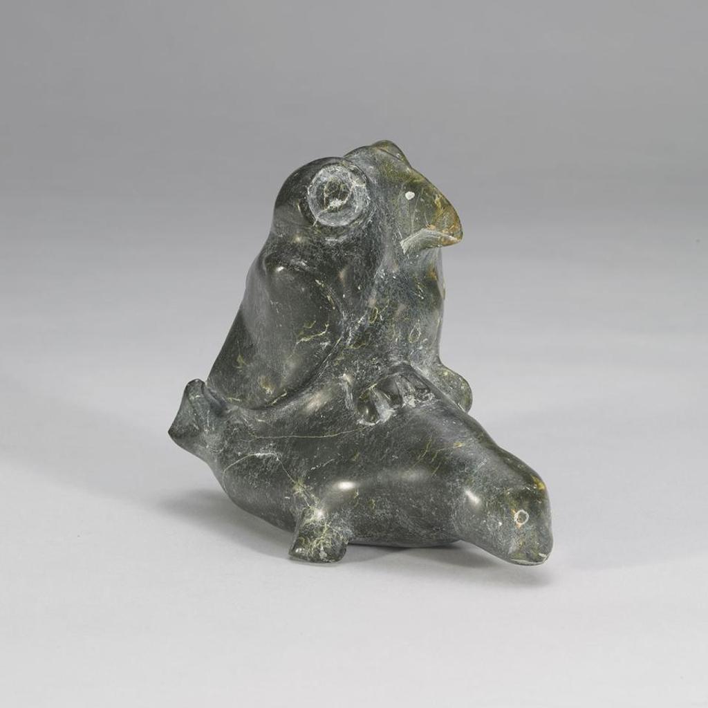 Udlatita - Owl Perched On A Seal