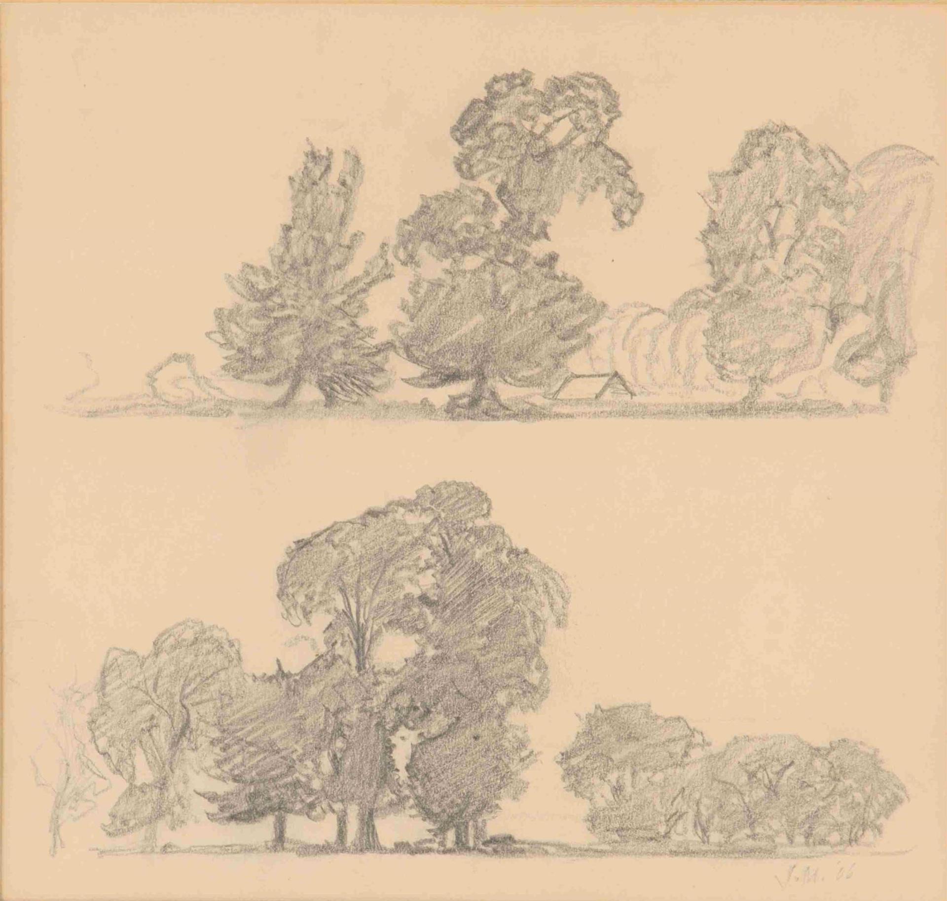 James Edward Hervey (J.E.H.) MacDonald (1873-1932) - Sketch (possibly High Park)