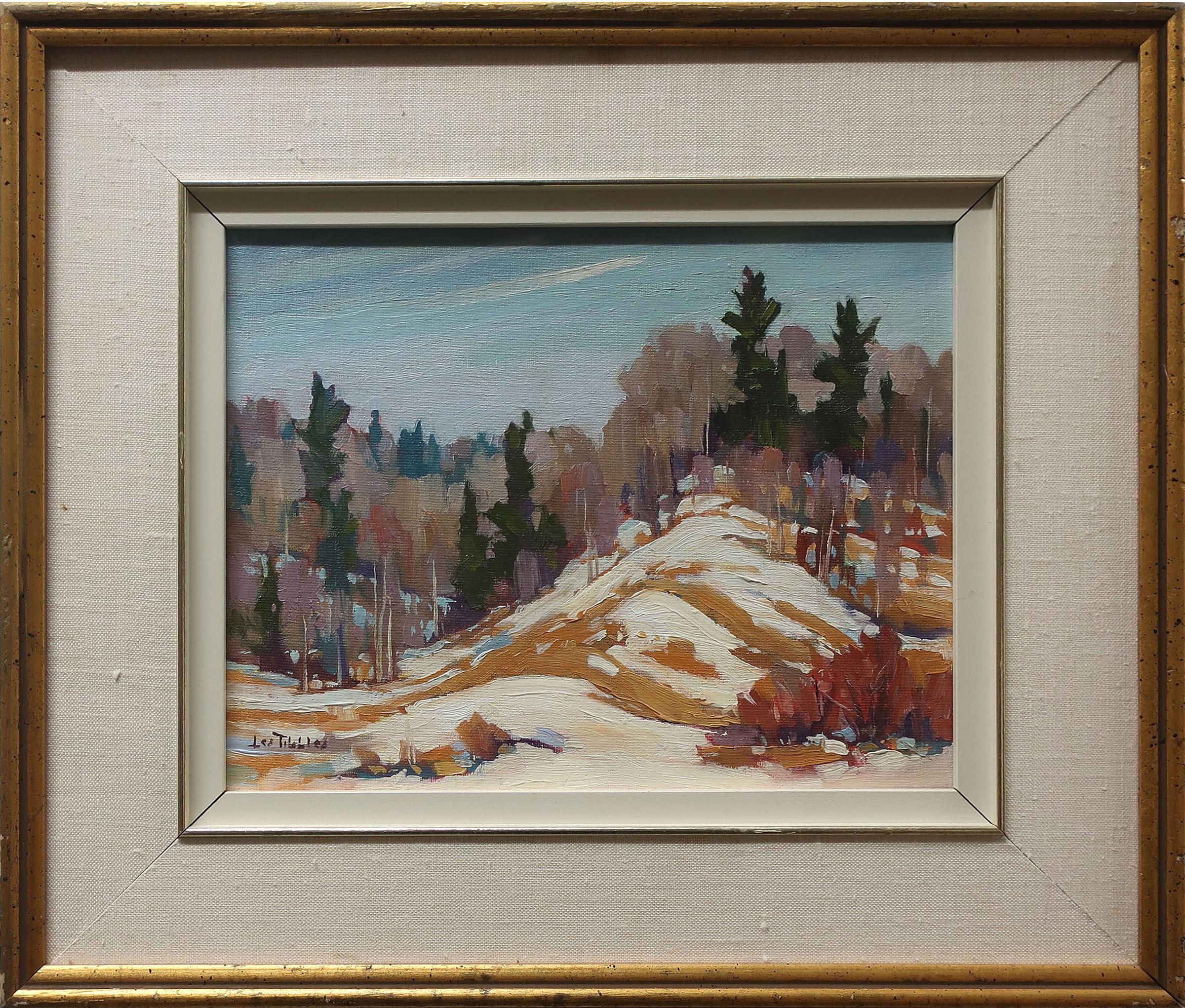 Leslie G. (Les) Tibbles (1916-2014) - Humber Valley